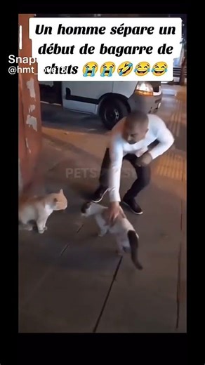 il vient de sauver le monde d'une catastrophe 🤣#pourtoi