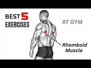 Best 5 exercises for rhomboid back muscle 🦞