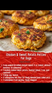 “These homemade dog recipes are crafted with simple, dog-safe ingredients to create healthy, tasty treats you can feel good about serving. Each recipe is free from harmful additives and focuses on gentle, natural flavors that most dogs enjoy, whether for everyday snacks, training rewards, or special occasions.” | The dog Lake