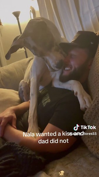 Funny Great Dane Moments That Will Make You Laugh