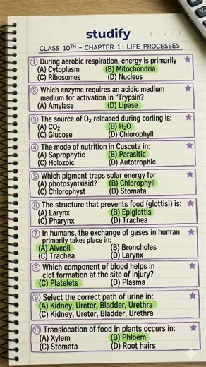20 MCQs of Life Processes ⚡ | Class 10 Bio Chapter 1 | Studify