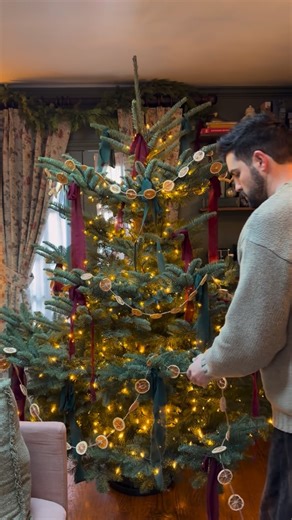 Daniel Preda on Instagram: "The Christmas cottage is getting so cozy! I spent about 48 hours drying these orange slices for my handmade garland so please tell me how stunning this tree is ✨ big fan of chiffon ribbon this year and these icicles from @rogersgardens & @balsamhill ❄️ tree is a 8 foot european noble from Washington :) #christmas #christmastree #christmasdecor #cottage #cottagecore"