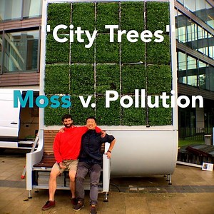 334K views · 270 reactions | They've reinvented the tree to beat air pollution  | People Fixing The World | Facebook