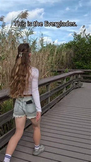 This Everglades Boardwalk Feels Unreal