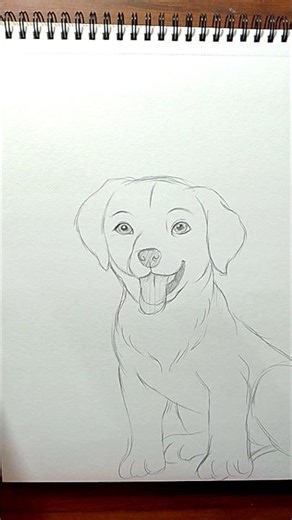 🐶 Cute Puppy Drawing | Easy and Adorable Dog Sketch for Beginners #shorts #ytshorts #dog