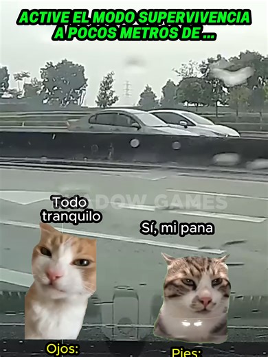Modo Super Pro: Sobrevivir y Gatitos Lindos
