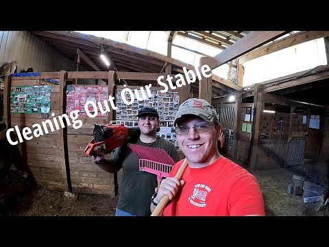 A New Horse Has Arrived! | Cleaning Our Stable | Prepping For Square Bales