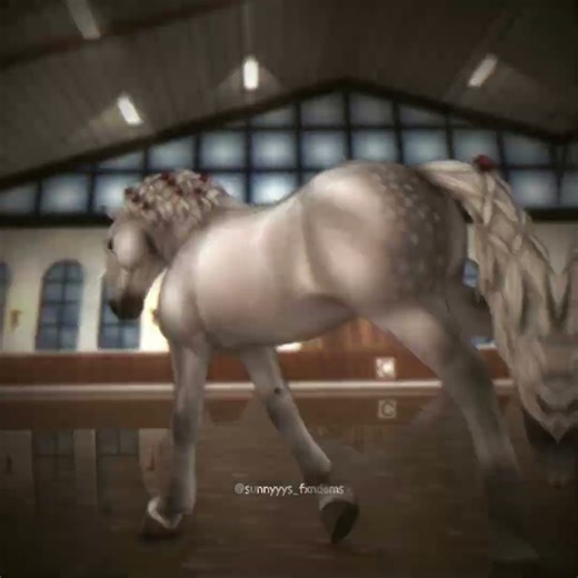 i desperately need more norikers 😣 || Star Stable Online ||