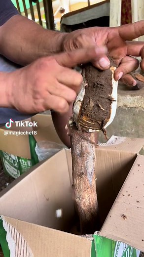 Magic Chef: Delicious Samoa-inspired Recipes