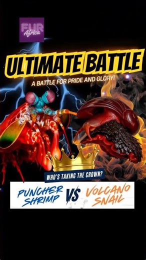 Mantis Shrimp vs Iron Snail Who Wins?