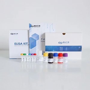 [Hot Item] Human Interleukin Elisa Kit for Accurate Quantitative Testing