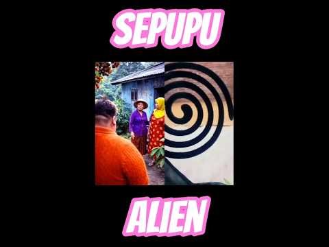 #comedy #funny #filmkartunterbaru #animasulucu #cartoon #animation ##videolucu