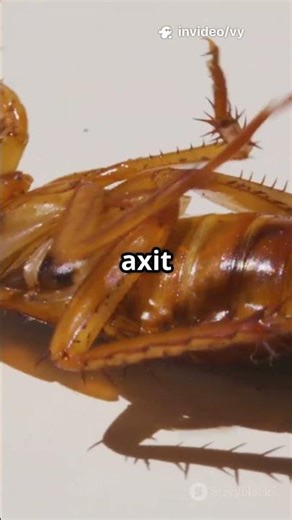 Khám phá vũ khí bí mật của động vật! #thegioidongvat #khampha #dongvat #khoahọc