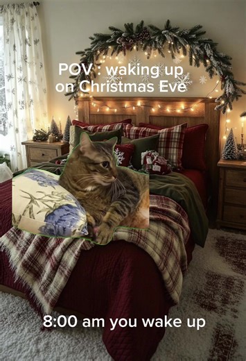 Cat Christmas Celebration 🎄🐱