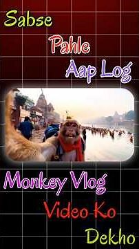 Monkey Vlog AI Video Kaise Banaye 100% Free || ai monkey vlog video editing || ai video editing