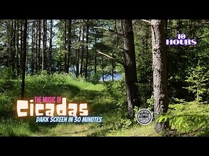 🦗 The Sound of Cicadas ⨀ Sounds for Deep Sleep and Relaxation ⨀ Dark Screen ⨀ 10 Hours