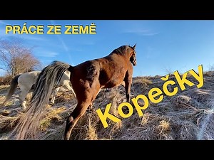 Jak nasvalit koním záda ještě než sednete do sedla ⛰ Kopce, terén a práce ze země 🐎