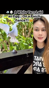 19K views · 239 reactions | Most birds carefully build nests for...