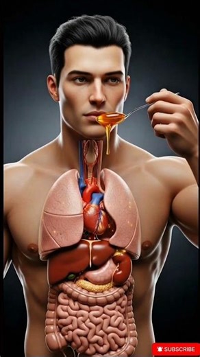 Honey Inside the Human Body – Shocking 3D Medical View!