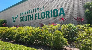 USF set to launch AI and cybersecurity college