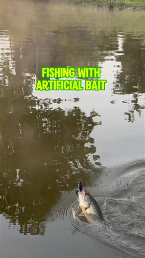 HOW TO Fish With Artificial Bait! 🎣🐟 #shorts