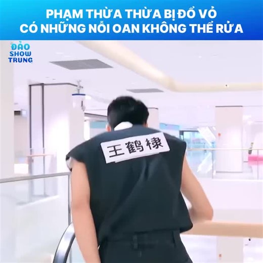 #wanghedi王鹤棣 #fanchengcheng