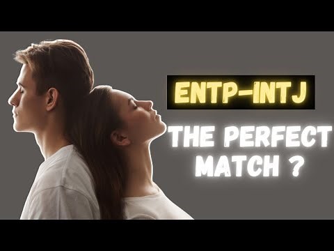 INTJ and ENTP : Decoding Compatibility in Relationships