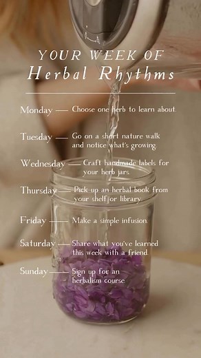 100K views · 1.6K reactions | ✨ Your Week of Herbal Rhythms ✨...