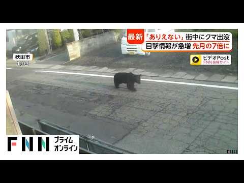 街中で“春グマ”の出没増加 人が襲われる被害も GW前に観光地も不安 専門家「暖冬で冬眠明け早い」「エサ少なく人里に」（2026年04月23日）