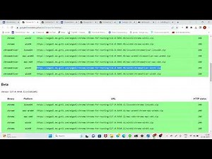 java.lang.IllegalStateException: The driver executable does not exist | Java