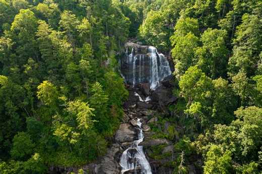 This Scenic Forest Was Just Named the Best U.S. Hiking Destination for 2026
