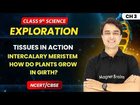 Intercalary Meristem - How Do Plants Grow in Girth? | Tissues in Action | Class 9 Science | Ch 3