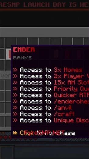 why you should join the new BIGGEST Minecraft server the FYRESMP #minecraft #drdonutt #farex #SMP