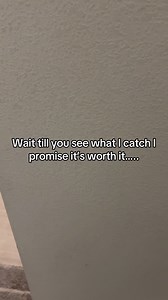 94K views · 7.7K reactions | Cat in the hat, Eeyore and the Grinch busted, eating snacks #feedingtime #kids #snackbandits #snackbreak #thegrinch | Jarell H Patton | Facebook