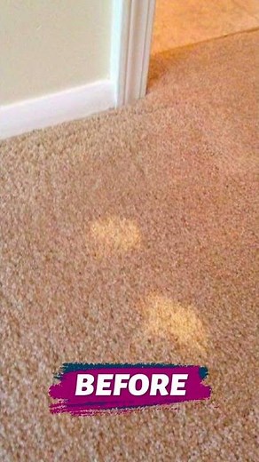 Before and After Coconix Fabric Carpet DIY Repair
