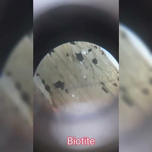 Biotite And Muscovite under Microscope