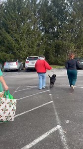 Four and a half years. 1,663 days. 39,912 hours. 2,394,720 minutes. That’s how long sweet Mable waited. Not for perfection. Not for miracles. Just for someone to choose her. Day after day, she watched people walk past her kennel. People stopped, smiled, and moved on. Puppies left. Other dogs left. And Mable stayed. Birthdays came and went. Holidays passed. Seasons changed. She learned the sense of quietness that follows when other dogs go home. If you’ve ever worked or volunteered in a shelter, 