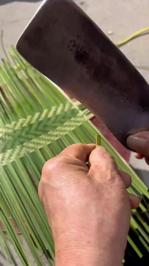 15K views · 275 reactions | Good Skill! Best Way to use Bambo Trees #bamboo #bambooforest #bamboozled #bamboosunglasses #bambooclothing #bambootoothbrush #bambooisland #bamboogrove #bambooshoots #bambootattoo #bamboohouse #bamboocharcoal #Bamboobike #bamboocotton | 4Day | Facebook