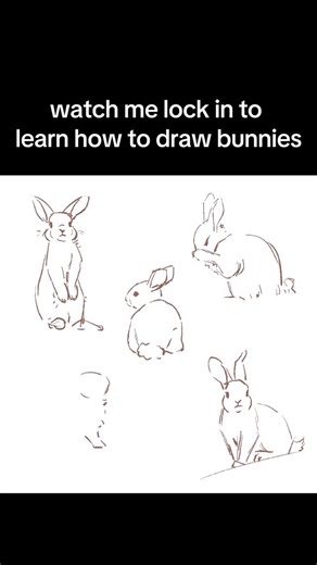 Cora 🩷 on Instagram: "bunni bunni bunni bunni #bunni"