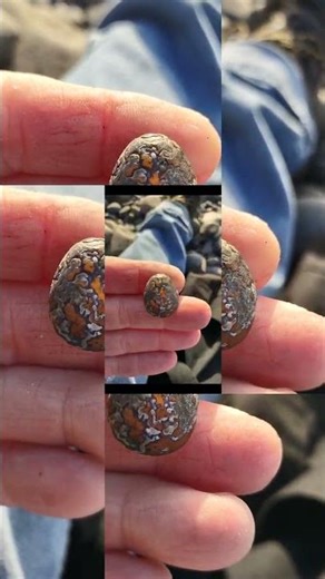 Amazing Oregon coast beach agate !