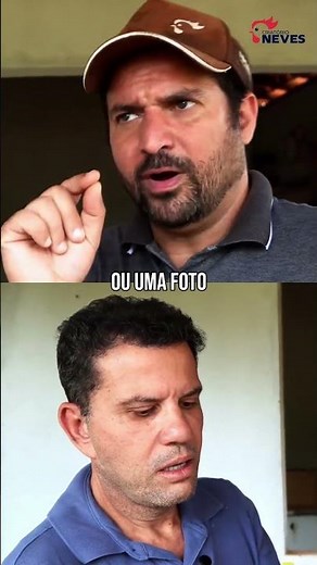 Você já viu uma codorna que bota ovo AZUL de verdade?