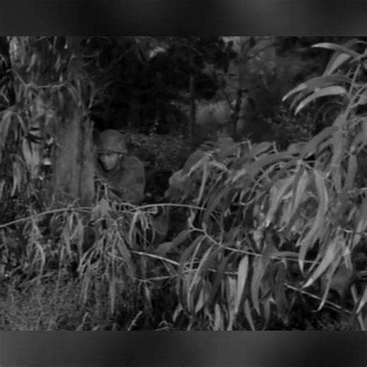 Combat! S3EP22 The Convict (1965) P2 #bestwartvshow | Best Tv War Movies