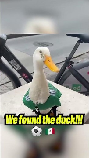 Viral sensation Merlin the Mexico-supporting duck meets ESPN! 🦆🇲🇽 #fifaworldcup
