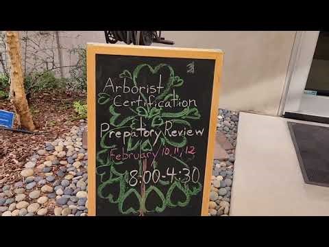 Arborist Certification Prep Class