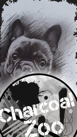 French Bulldog Dog Charcoal Drawing – Quick Art Reveal Pet Portrait