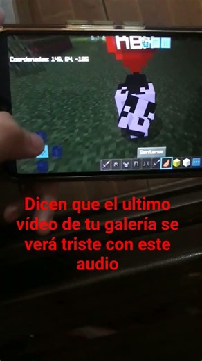 casi lloro #sad #minecraft #dog #creative #netherite #sheep #challenge