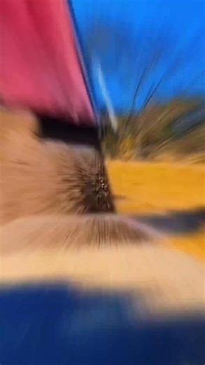 The Mack Driver That Challenged Physics 😳 | Mechanical Man