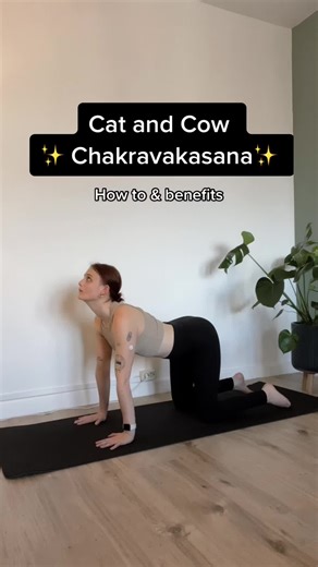 Cat-Cow Stretch for Spinal Health