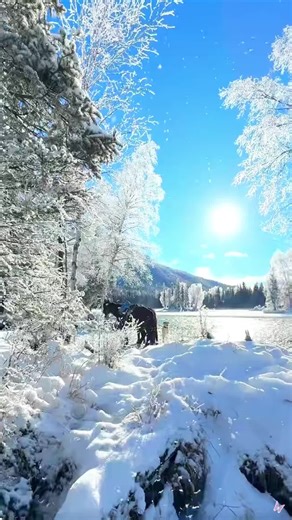 How to Get More Attention in Conversations