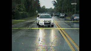 The day Caylee Anthony's remains were found